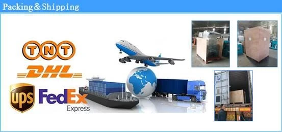 shipping shipping